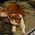 Sigourney Sielaff's profile image