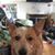 Duane Nagle's profile image
