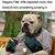 Brandon Hauk-Ramirez's profile image