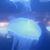 Bill Waggoner's profile image