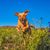 Trudy Gardner's profile image