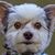 Kathye McCall's profile image