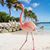 Donna Berardo McColgin's profile image
