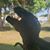 Mike Furphy's profile image