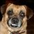 Helen Funk's profile image