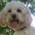 Barb Dworak's profile image