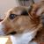 Nita Johnson's profile image