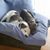Cynthia Crowell's profile image