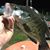 Bill Spradlin's profile image
