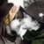 Nadia Cn's profile image