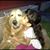 Muñoz Yanela's profile image
