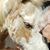 Angela Bosma's profile image