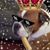 William Dailey's profile image