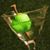 Ginger Hinton Edwards's profile image