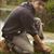 Nick Comella's profile image