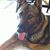 Gibbs Boulay's profile image
