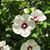 Colleen Mahan's profile image
