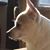 Jennifer Brogan's profile image