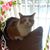 Julie Przepiora's profile image