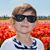 David Gianninotti's profile image