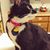 Michelle Altvater's profile image