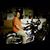 Ron Ferril's profile image