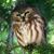 Loyd Brown's profile image