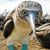 Ann Birely's profile image