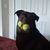 Deborah Wanda's profile image