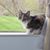LuAnne Shook's profile image
