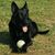 Diana Koller's profile image