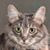 Chris Zahn-Lemanski's profile image
