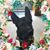 Perry Wolf's profile image