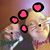 Angela Clatterbuck's profile image