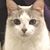 Rose Kern's profile image