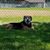 Penni Rae Zito's profile image
