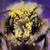 Misty Jo Johnson Beauchaine's profile image