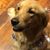 Andy Dennhardt's profile image