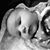 Jen Graham Gangloff's profile image