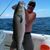 John Stringer's profile image