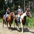 Chuck Luecke's profile image
