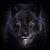Jonathan TG Barone's profile image
