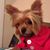 Joyce Hunt's profile image