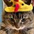 Judy Hartling's profile image