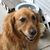 Debbie Sullivan's profile image