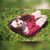 Vanessa Martínez Espinosa's profile image