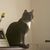 Peggy Humes Hollenbach's profile image