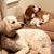 Carrie Bregar's profile image