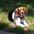 Lori Seastrand's profile image