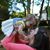 Tiffany Marie Harston's profile image